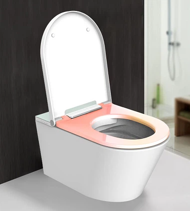wc with built in bidet wc with built in bidet