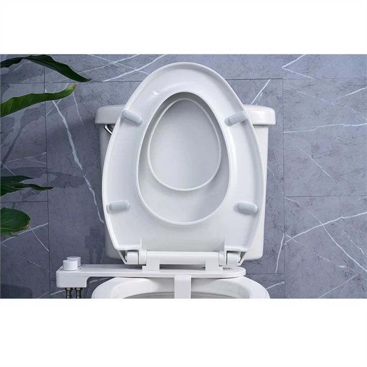 Bidet সামঞ্জস্যপূর্ণ টয়লেট আসন