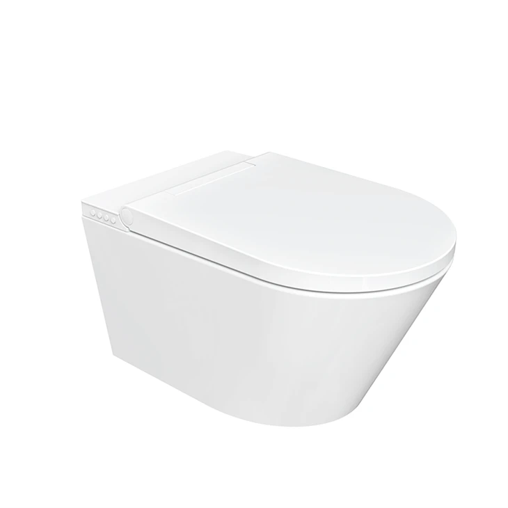 smart wc toilet